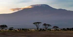 montagne Kilimandjaro
